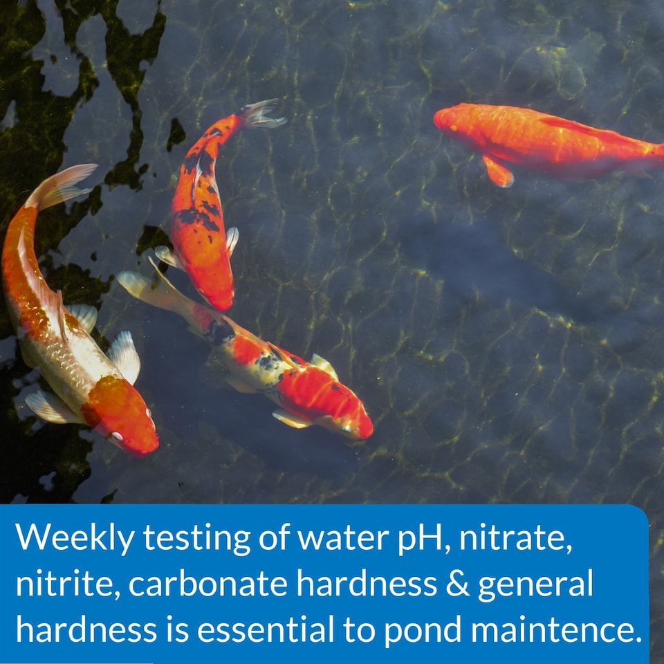 image 1 of API Pond 5 in 1 Test Strips (25 Pack) Tests pH, Nitrite, Nitrate, KH & GH Pond Water Quality Test Kit