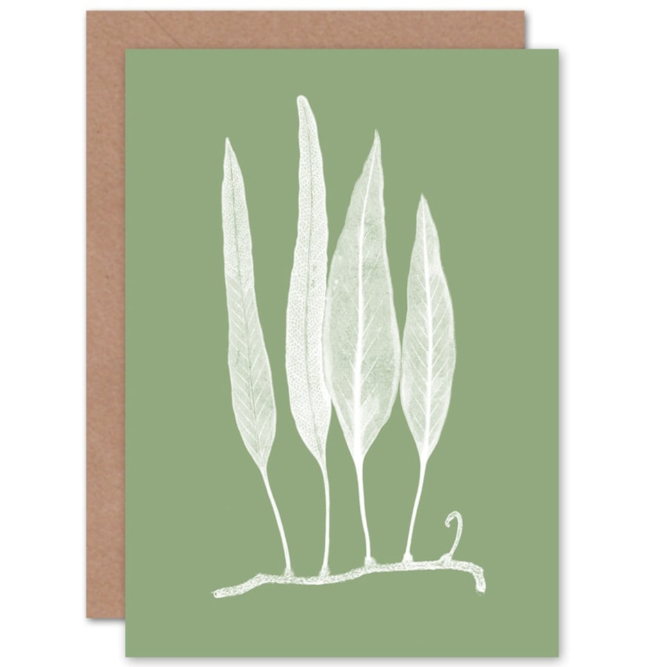 image 1 of White Green Exotic Plant Art Blank Just to Say Card