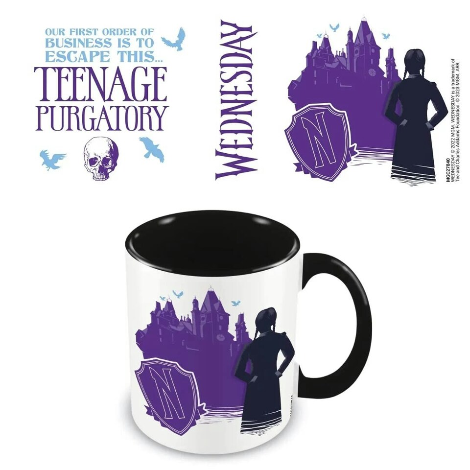 Wednesday Teenage Purgatory Black Inner Boxed 11 Oz Mug - One Size - Ceramics N/A