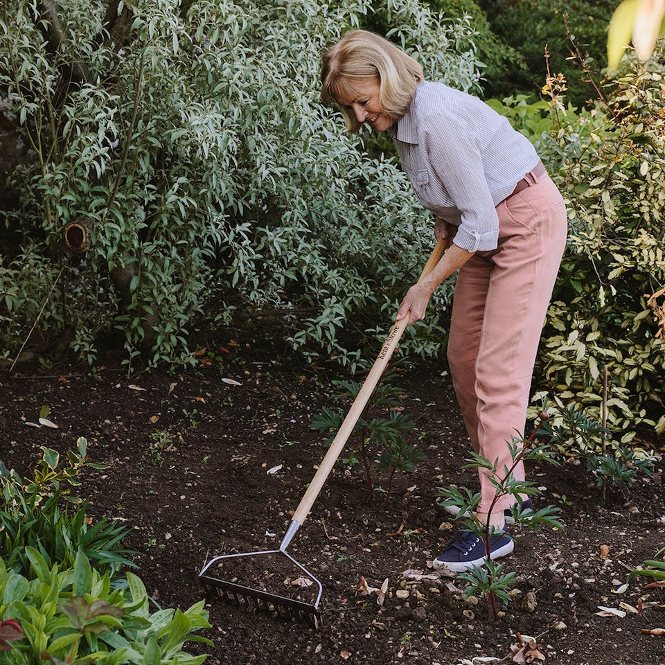 image 1 of Kent & Stowe Garden Life Lightweight Soil Rake, 12-Tine Stainless Steel Head, 130 cm Ash Handle | Multi | 130cm / 51in