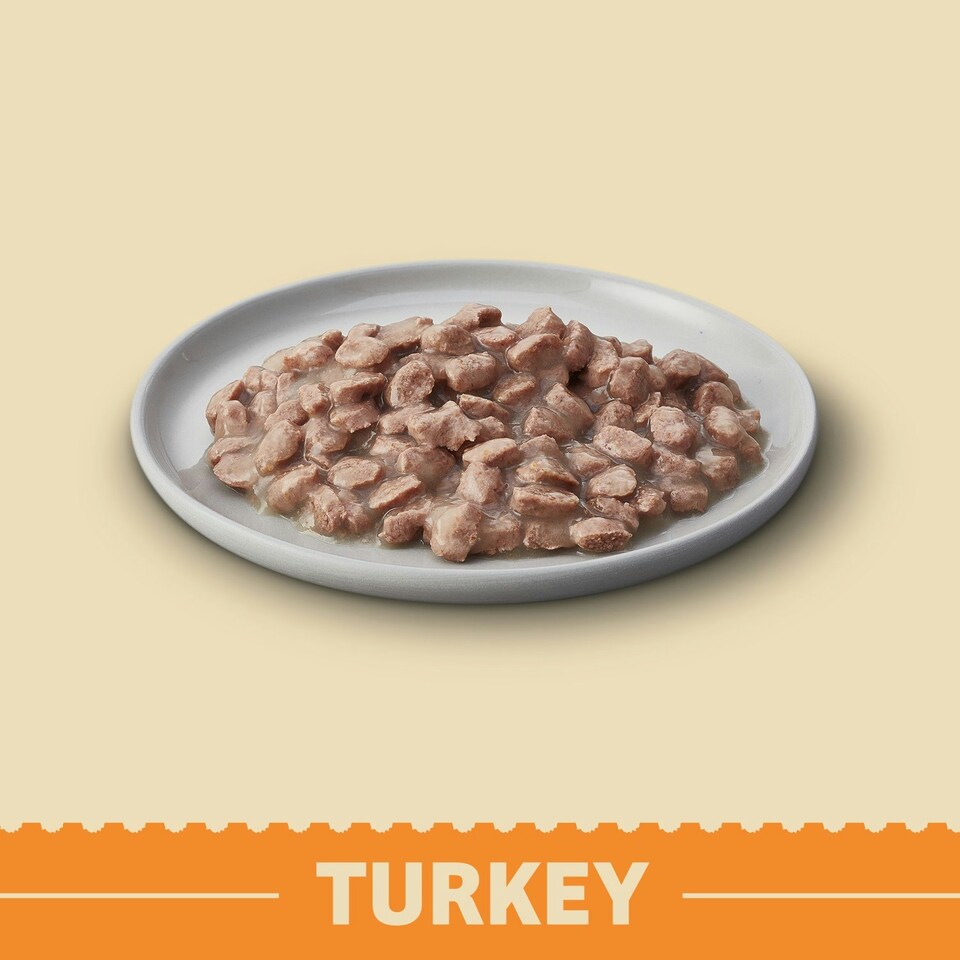 image 1 of James Wellbeloved Grain Free Senior Wet Cat Food Pouches Turkey in Gravy 48 x 85g