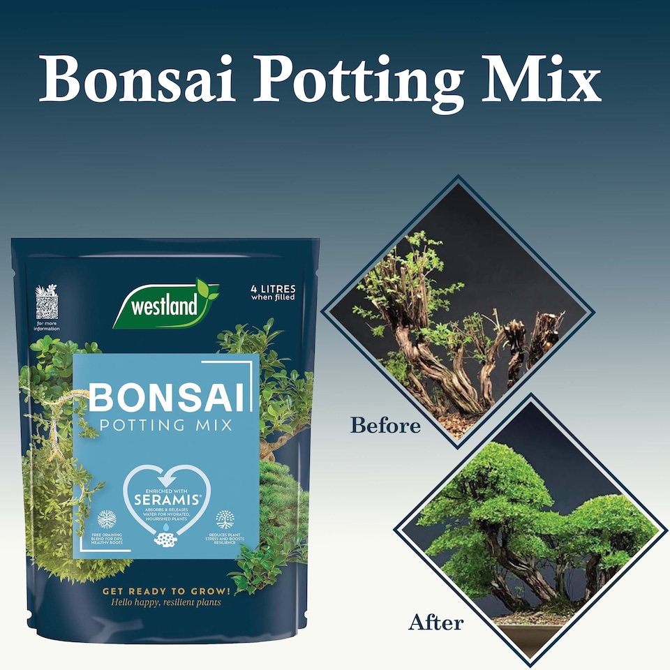 image 1 of Westland Bonsai Potting Mix 4L Free Draining Peat Free Brown Soil for Healthy Bonsai Growth & Strong Roots