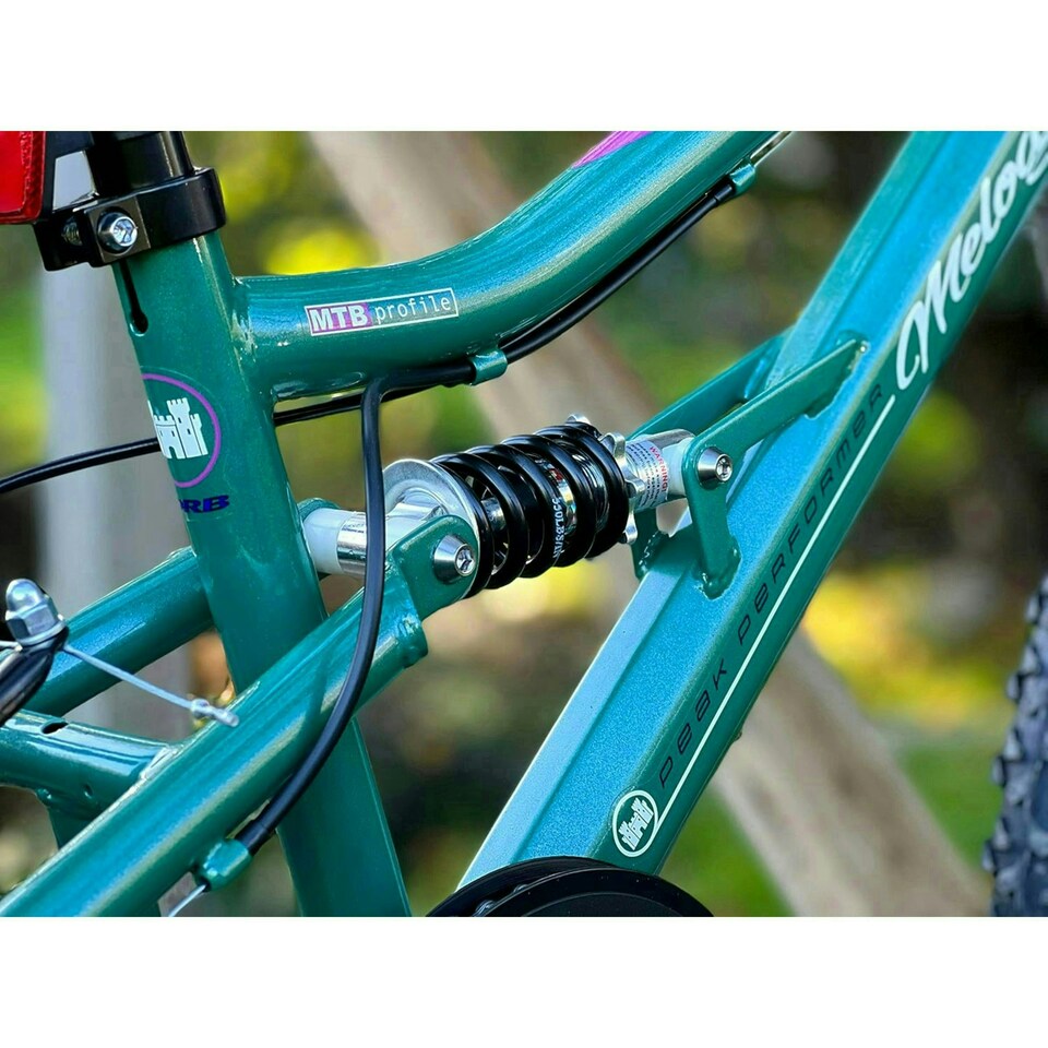 image 1 of Dallingridge Melody 20in Girls Full Suspension Mountain Bike - Metallic Teal/White