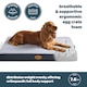 image 2 of Silentnight Firm Support Crate Dog Mattress, Extra Large