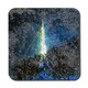 image 1 of Eiffel tower and bark (Coaster)