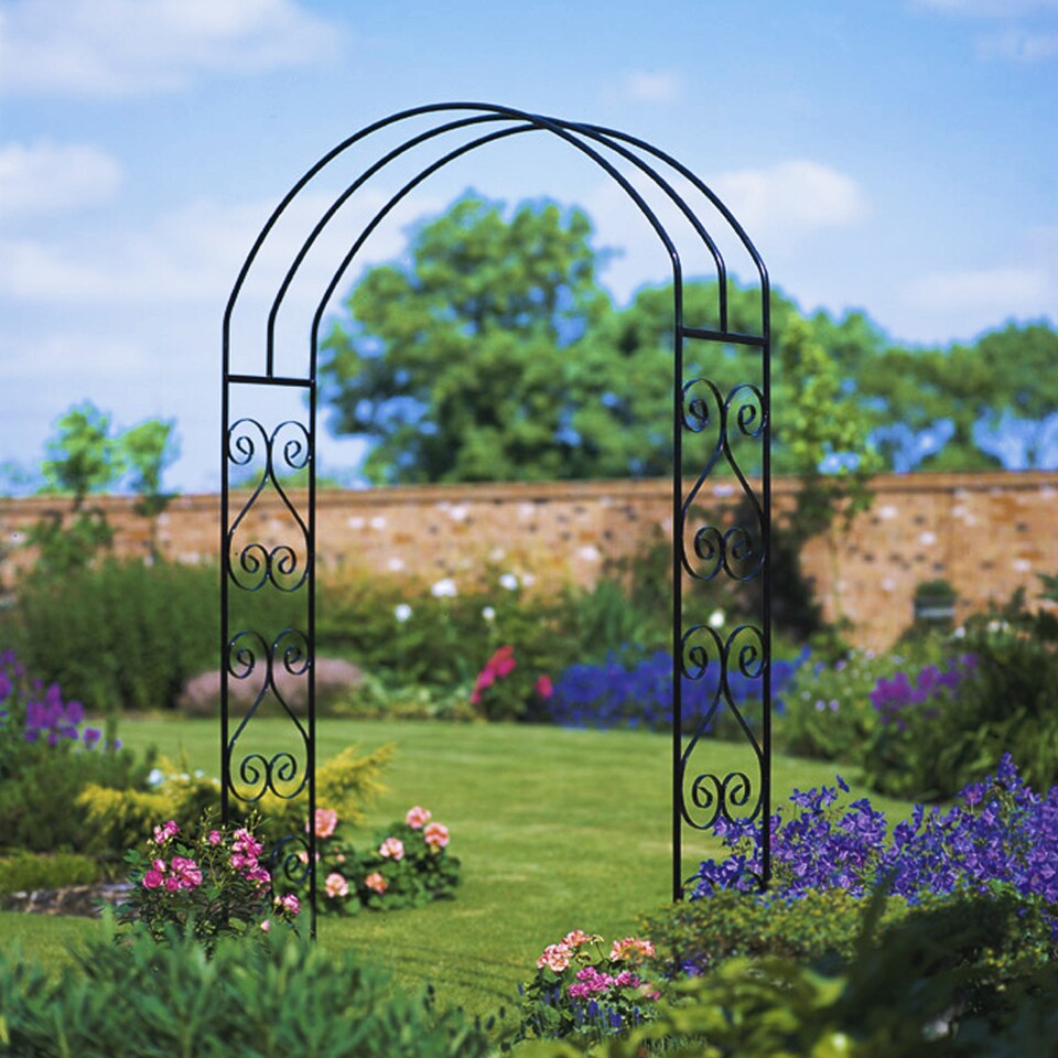 image 1 of York Scroll Large Rose Arch - Solid Steel - L305 x W1524 x H2032 mm - Powder Coated Black | Black | 1