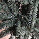 image 5 of 90cm Indoor Wall Mounted Christmas Tree with Wrapped Branches PVC with Bracket