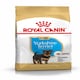 image 1 of ROYAL CANIN Yorkshire Terrier Puppy Dry Dog Food