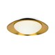 image 1 of Side Led Black/Copper Ceiling Lamp 20W