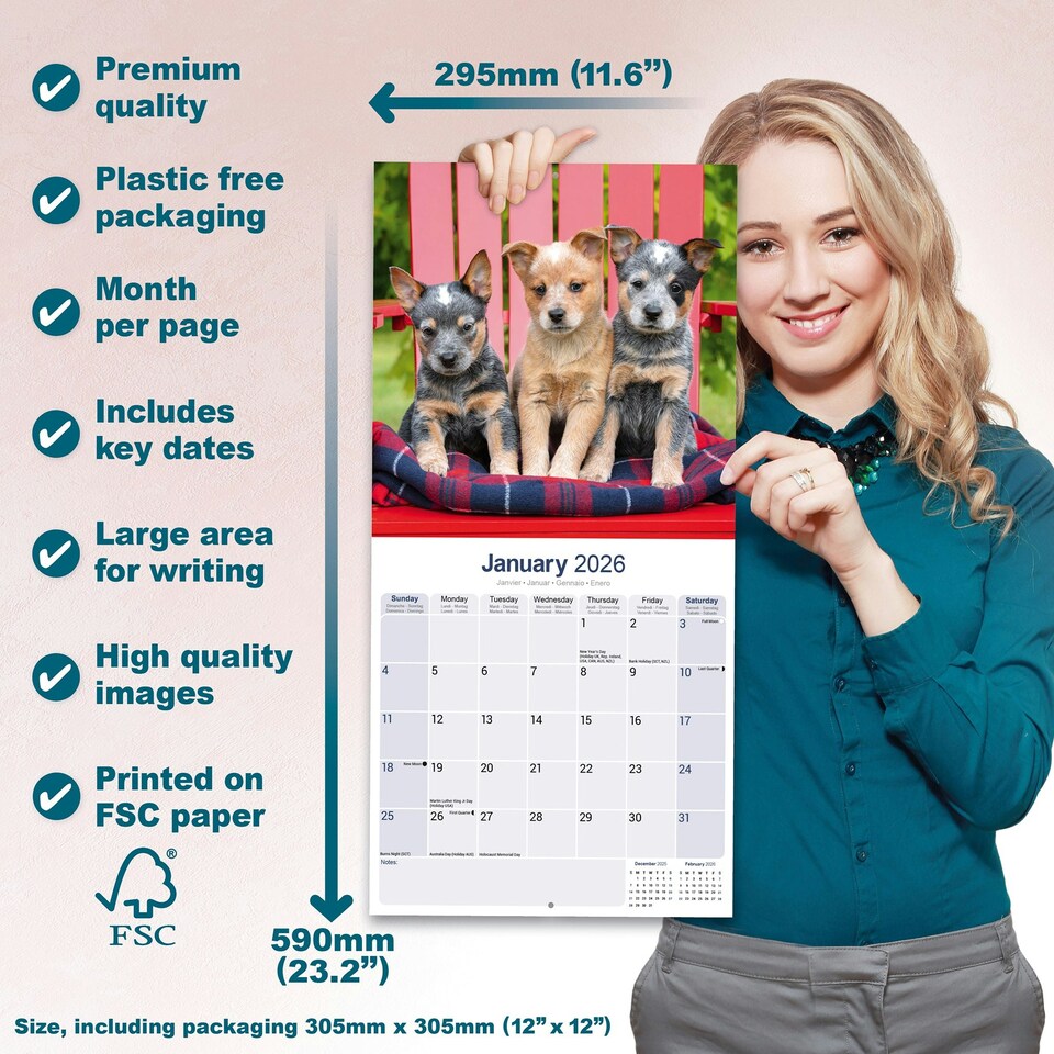 image 1 of Australian Cattle Dog 2026 Calendar | Square Wall Calendar | Dog Breed Gift | Plastic Free Packaging | by Avonside Publishing