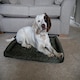 image 2 of Rosewood Green Water Resistant Crate Mattress - Small