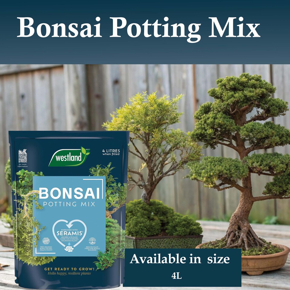 image 1 of Westland Bonsai Potting Mix 4L Free Draining Peat Free Brown Soil for Healthy Bonsai Growth & Strong Roots