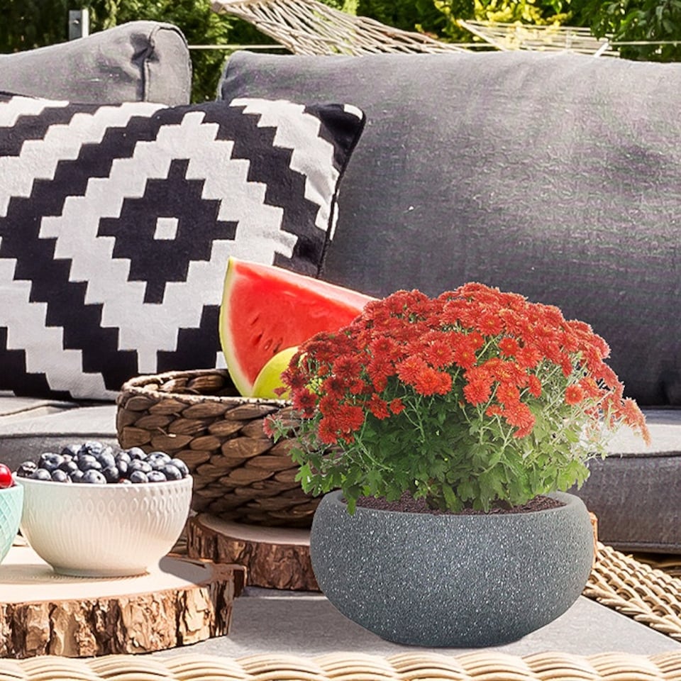 image 1 of Textured Concrete Effect Grey Bowl Outdoor Garden Planter D30 H14 cm, 9.9 ltrs Cap.