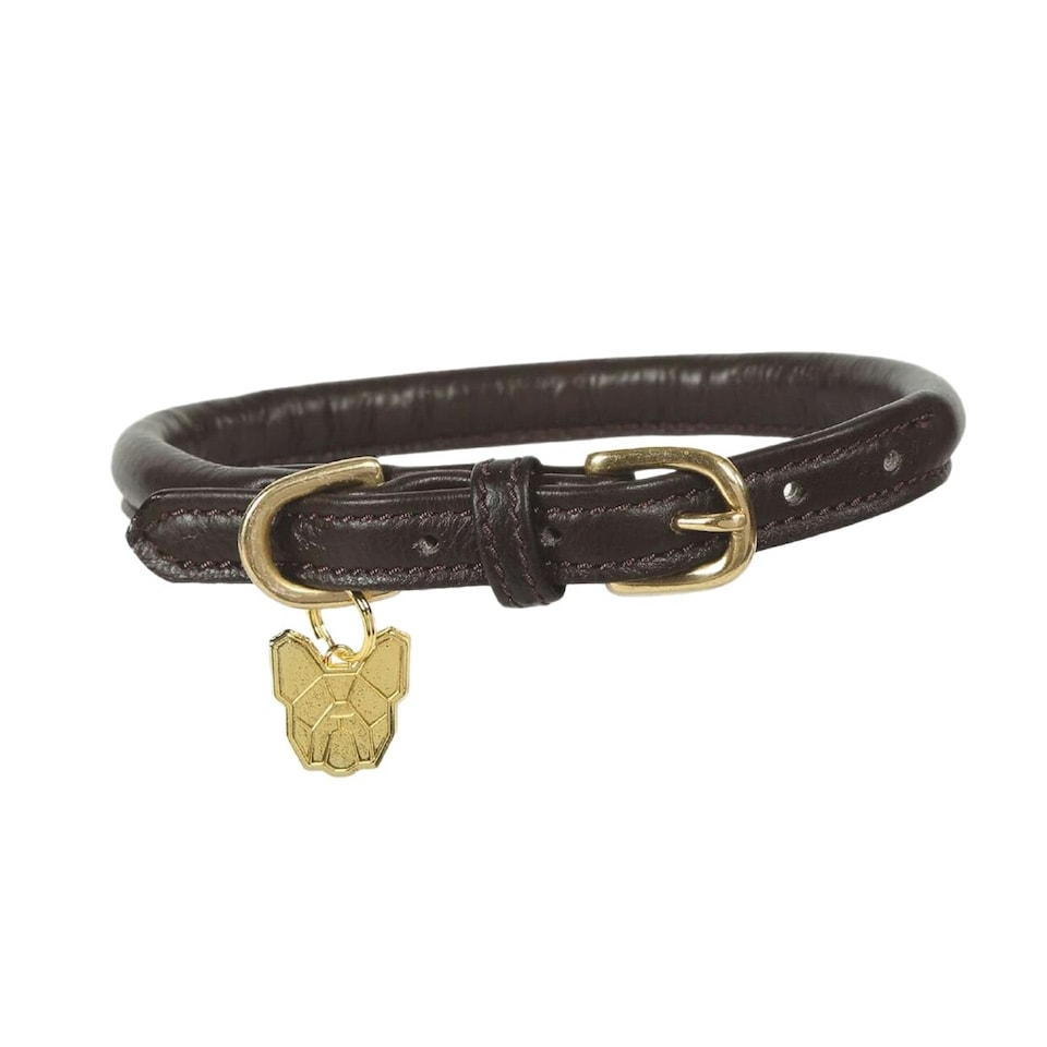 Digby & Fox Rolled Leather Buckle Dog Collar - Brown - XXS - Neckline: 23cm-28cm