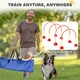 image 4 of PawHut 4-Piece Dog Agility Training Equipment with Bag, Orange