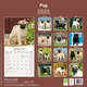 image 2 of Pug 2026 Calendar | Square Wall Calendar | Dog Breed Gift | Plastic Free Packaging | by Avonside Publishing