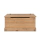 image 3 of Core Products Corona, Storage Trunk H46cm x W91cm x D49.5cm Brown