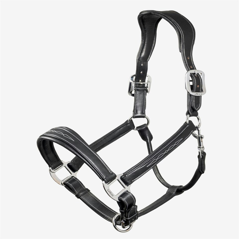 image 1 of LeMieux Stitched Leather Headcollar Brown | Full