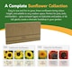 image 2 of Pronto Seed Sunflower Bumper Pack - 6 Varieties, Colourful and Yellow Sunflowers for Pots and Borders