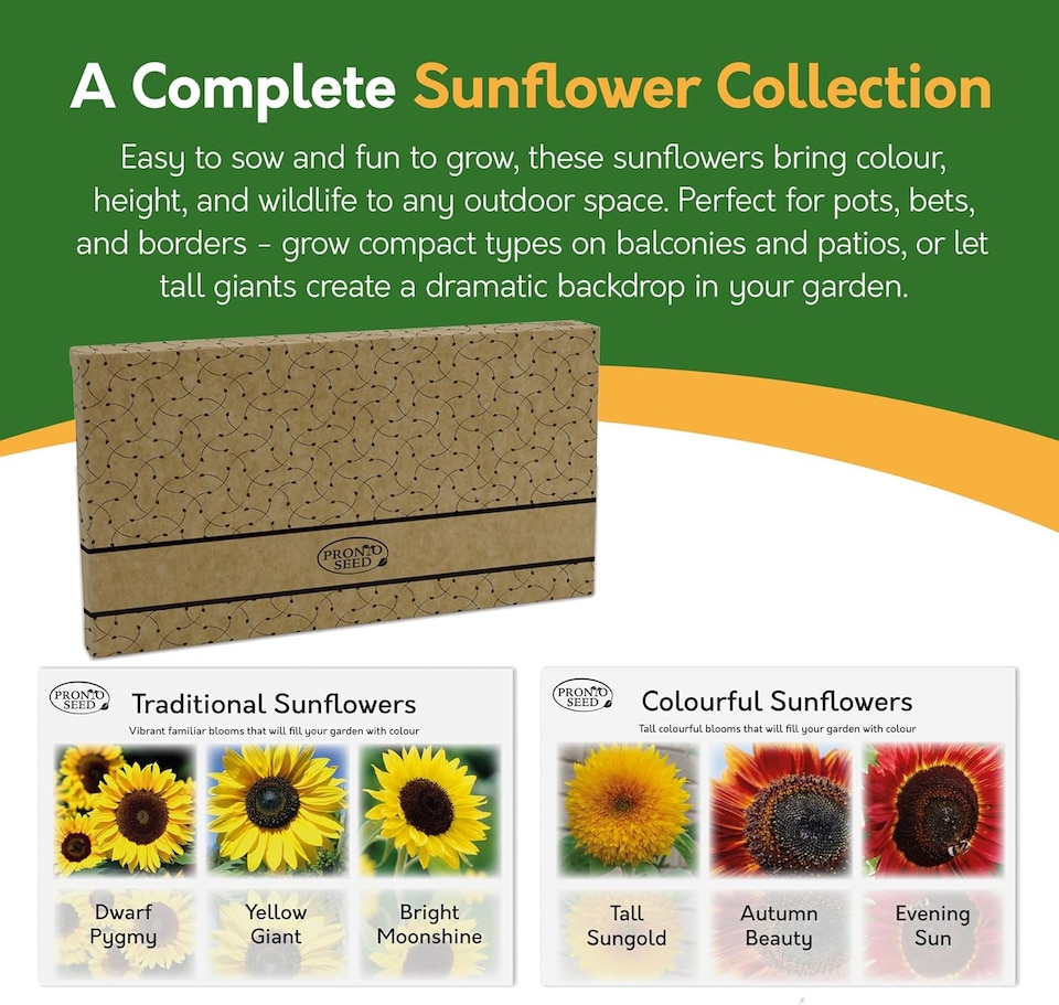 image 1 of Pronto Seed Sunflower Bumper Pack - 6 Varieties, Colourful and Yellow Sunflowers for Pots and Borders