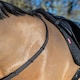 image 10 of LeMieux Soft Rubber Reins with Stoppers Black | Cob