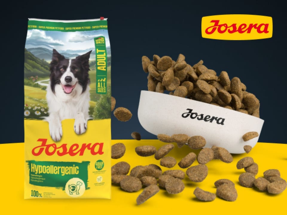 image 1 of Josera Adult Hypoallergenic complete dog food | Allergy relief | Sensitive digestion | Novel single animal protein | Grain-free | All breed sizes | 5x0.9kg