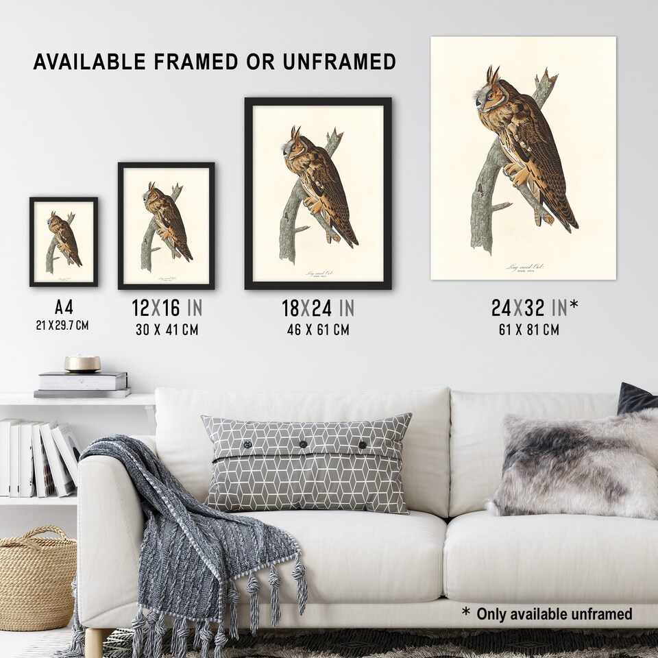 image 1 of Birds Of America Long Eared Owl Audubon Nature Huge Wall Art Poster Print 24X32"