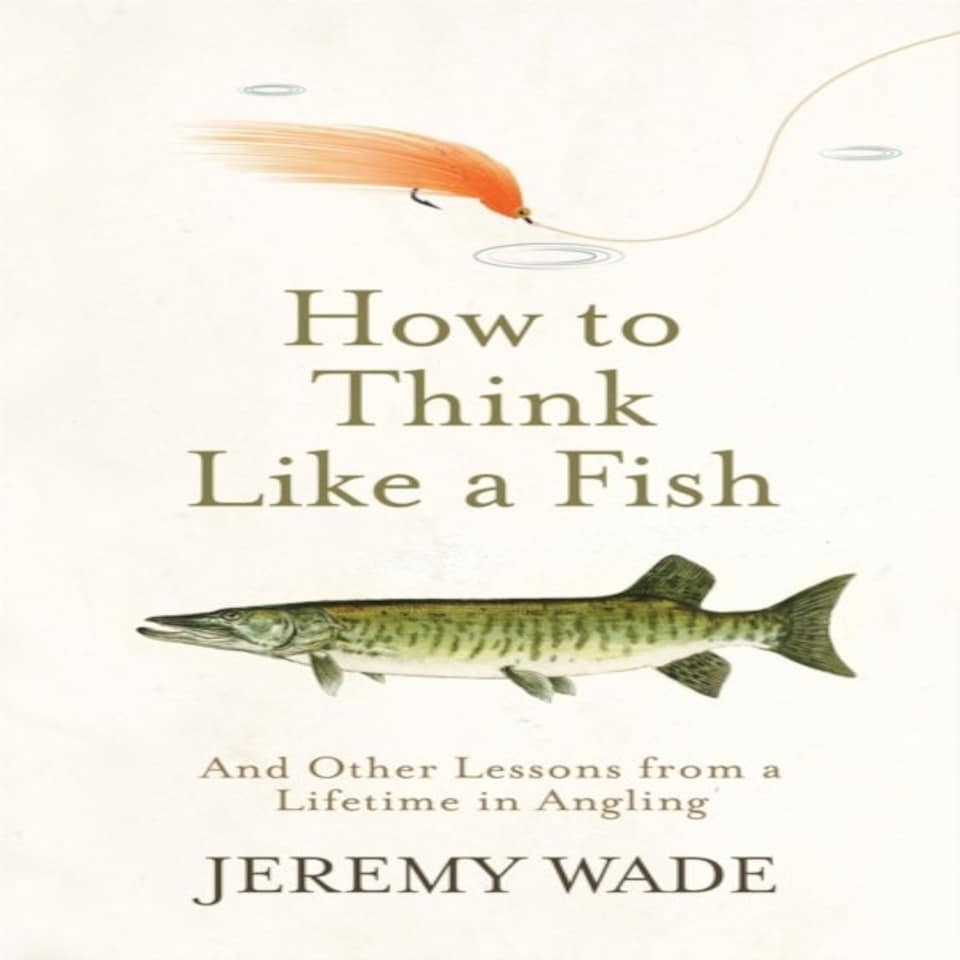 How To Think Like A Fish