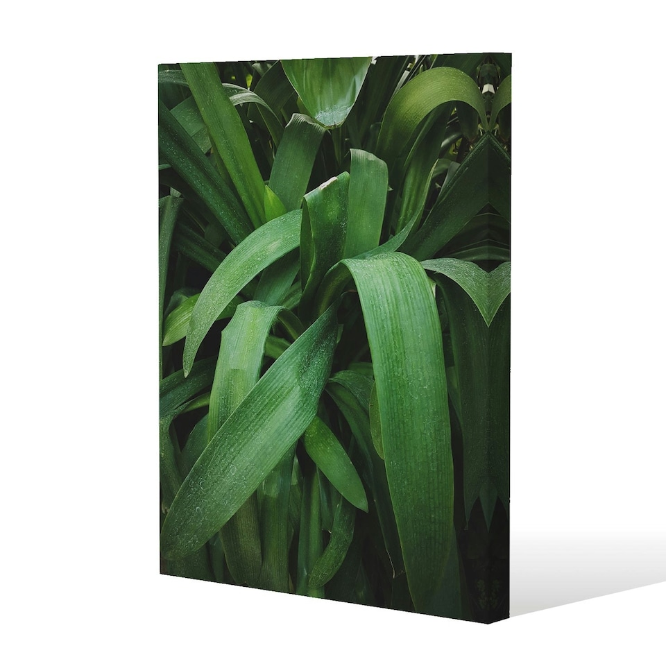 image 1 of Atmospheric background, Selective focus (Canvas Print)