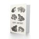 image 2 of Theo van Hoytema Birthday Card Six Frogs and Toads Drawing