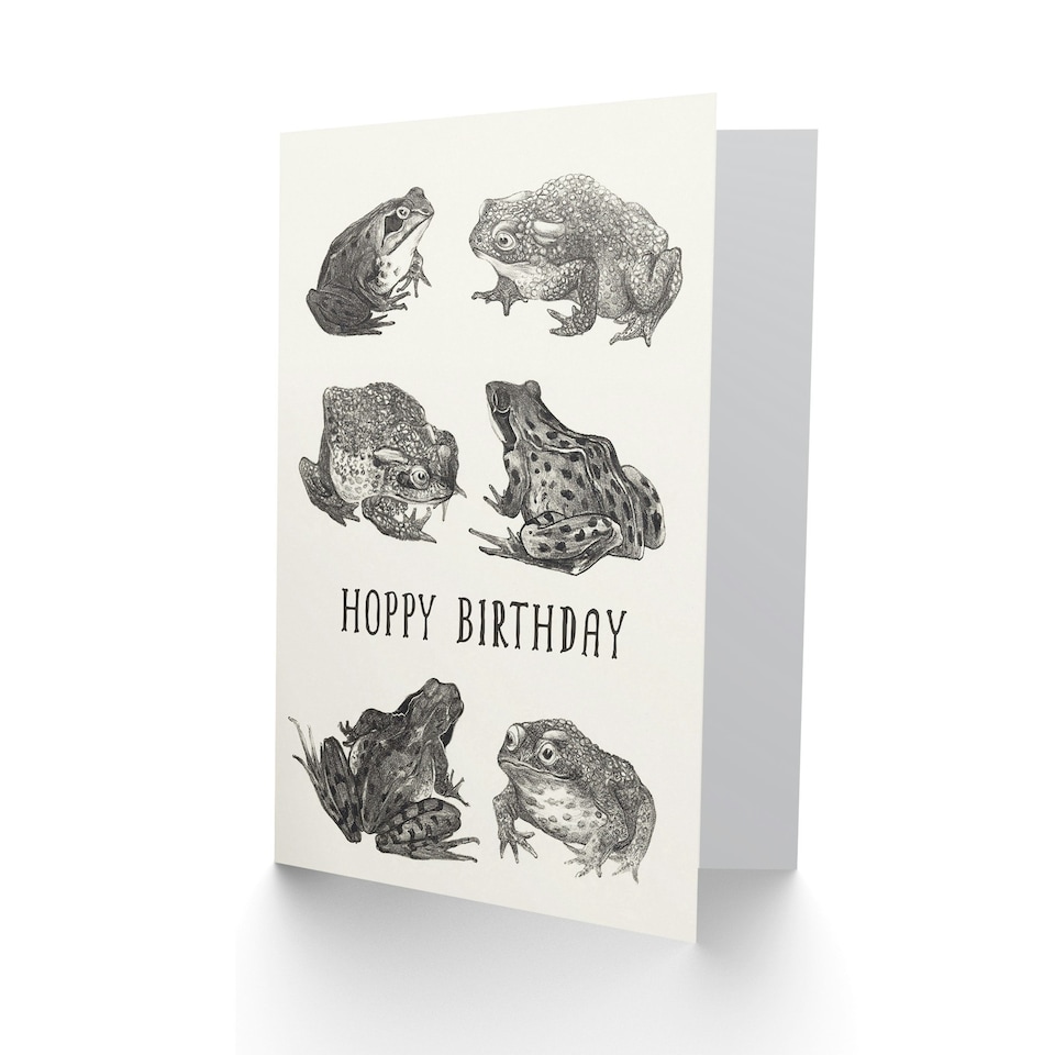 image 1 of Theo van Hoytema Birthday Card Six Frogs and Toads Drawing