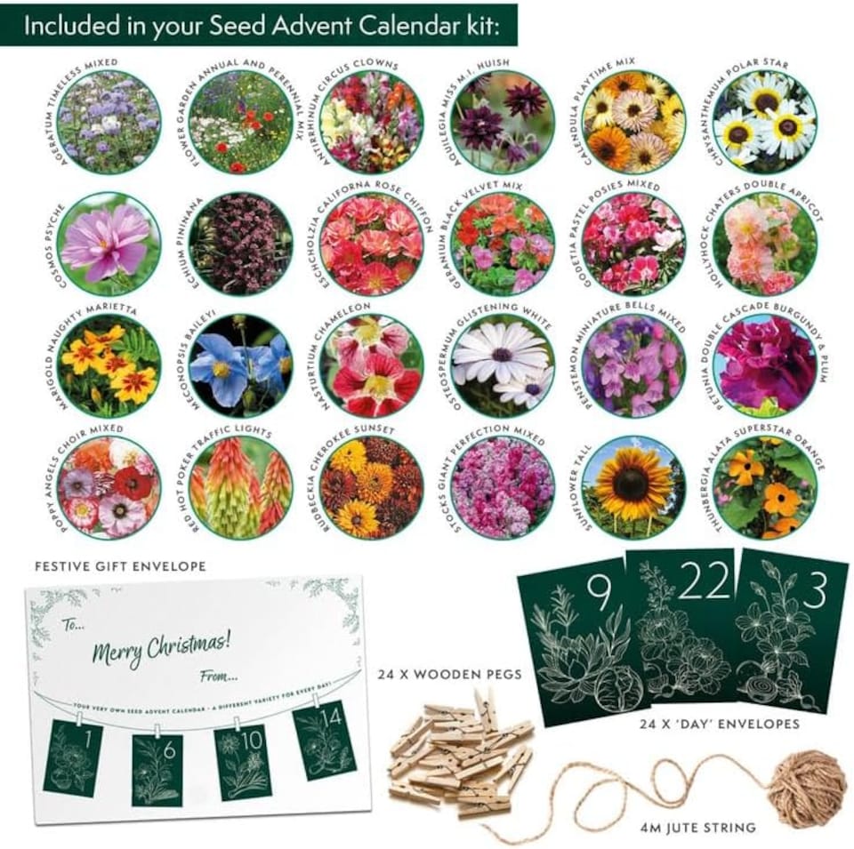 image 1 of Gift Advent Calendar Flower Seeds x 1