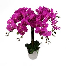 85cm Artificial Deluxe XL Orchid - Dark Pink
