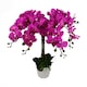 image 1 of 85cm Artificial Deluxe XL Orchid - Dark Pink