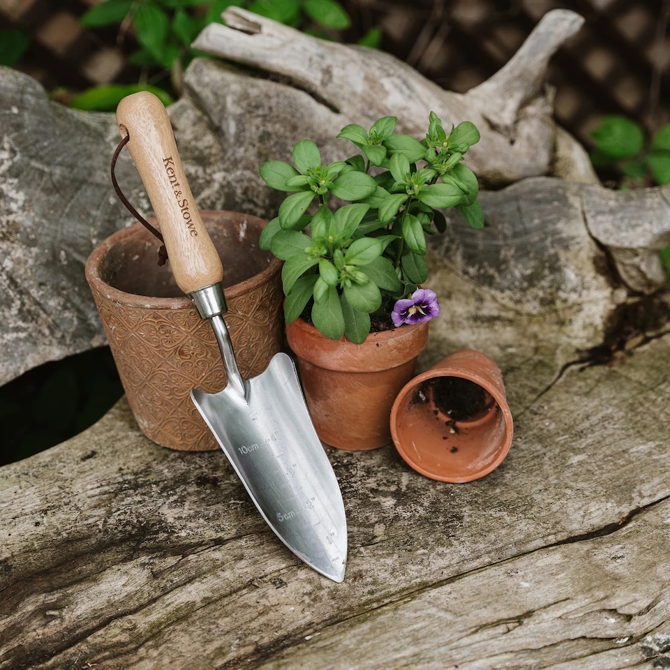 image 1 of Kent & Stowe Stainless Steel Hand Transplanting Trowel | Multi | 1 x Transplanting Trowel