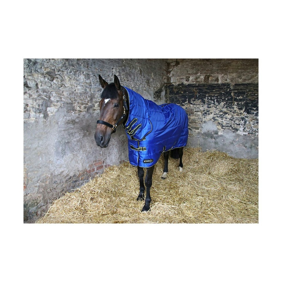 image 1 of Hy StormX Original 100 Combi Stable Rug - Royal Blue/Navy/Yellow - 5ft 6in