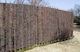 image 1 of Willow Hurdle Fence Panel Premium Weave Woven Screening 6ft x 2ft | Brown | Brown