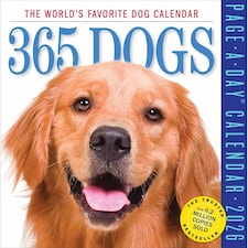 365 Days Of Dogs Desk Calendar 2026