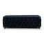 Black Plush Velvet