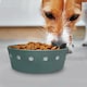 image 7 of Pre-personalised Dog Bowl Featuring Popular Names, Breeds and Captions - Freddie - Over 60 Titles Available