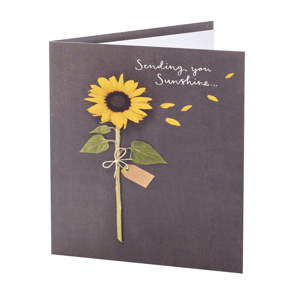 image 1 of Open Card - Sending You Sunshine - Sunflower