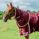 image 1 of Gallop Equestrian Trojan Xtra 100 Neck Cover Red | Size: Large
Colour: Burgundy