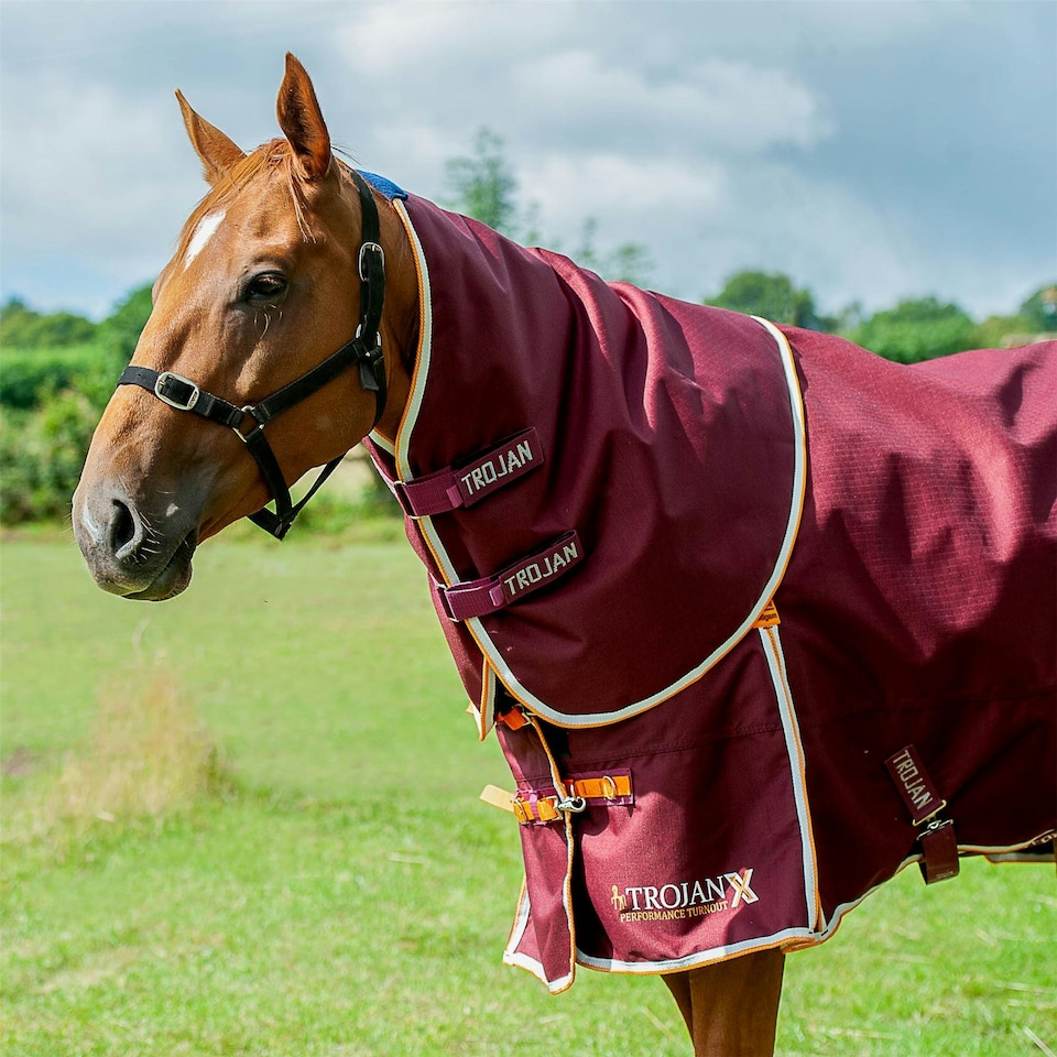 image 1 of Gallop Equestrian Trojan Xtra 100 Neck Cover Red | Size: Large
Colour: Burgundy