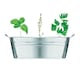 image 1 of MidOcean Herb Seeds Plant Pot | Silver | Matt Silver | One Size | 1