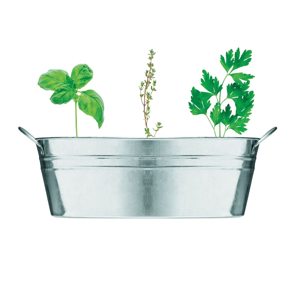 image 1 of MidOcean Herb Seeds Plant Pot | Silver | Matt Silver | One Size | 1