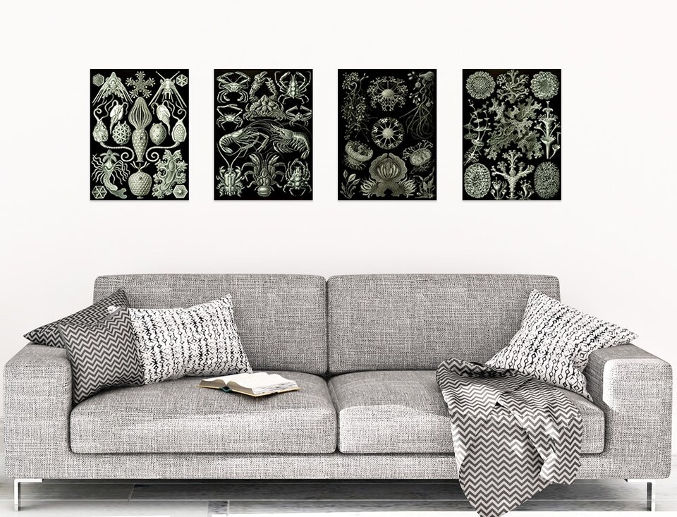 image 1 of Set of 4 Vintage Ernst Haeckel Nature Biology Sea Ocean Wall Art Print Home Decor 12x16 Inch