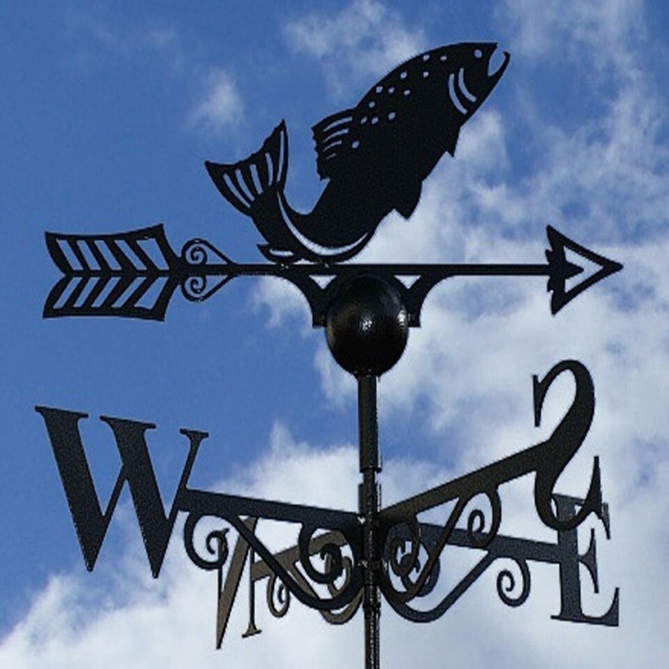 image 1 of Fish Weathervane - Solid Steel - W61 x H88 cm - Black