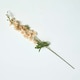 image 1 of Homescapes Peach Stock Flower Spray Single Stem 87 cm