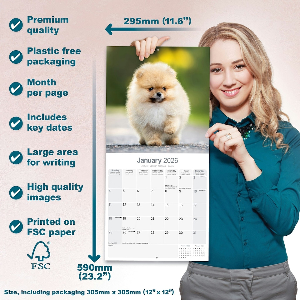 image 1 of Pomeranian 2026 Calendar | Square Wall Calendar | Dog Breed Gift | Plastic Free Packaging | by Avonside Publishing