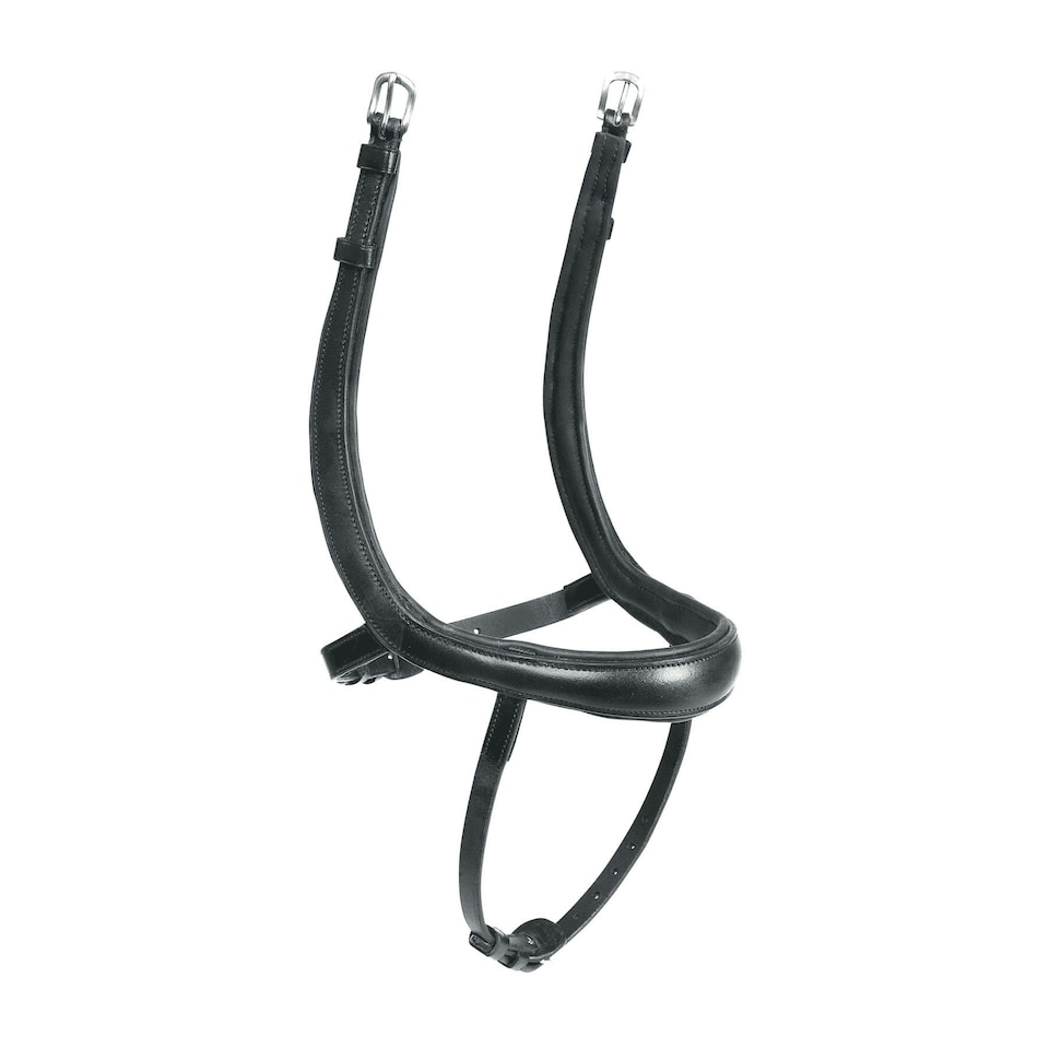 image 1 of Velociti Ergonomic Leather Curved Horse Flash Noseband - Black - Pony